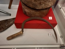 �������� ����� �� ����, � ���� - �������