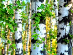 �������� ���� ������ ������ �����...�